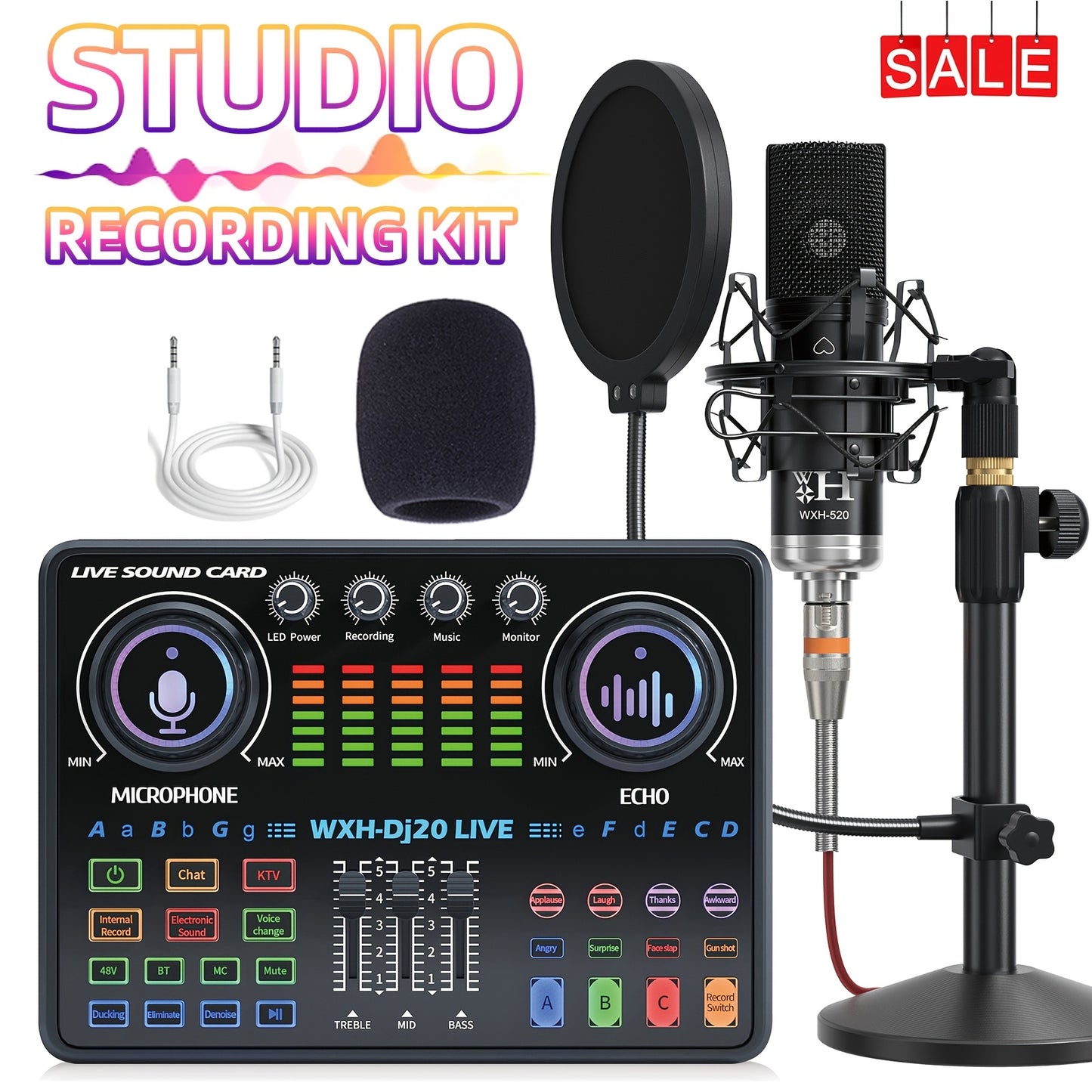 Large Diaphragm Condenser Microphone Bundle: Premium XLR Podcast with Live Sound Card for Studio Recording & Broadcasting