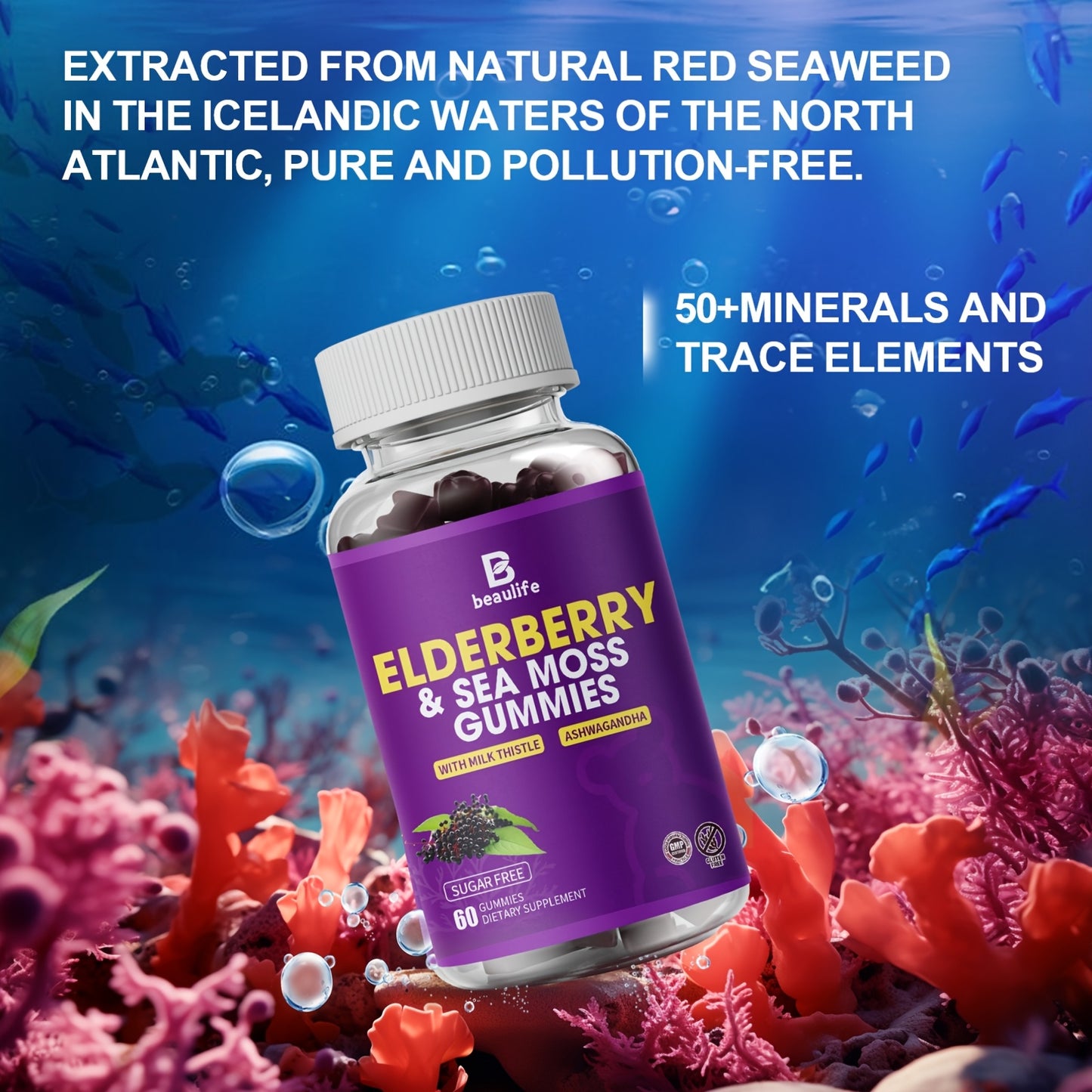 3 Bottle Elderberry & Sea Moss Gummies, Black Sambucus Elderberry with Zinc And Vitamin C, D3, Milk Thistle, Ashwagandha, Elderberry Gummy